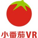 小番茄VR